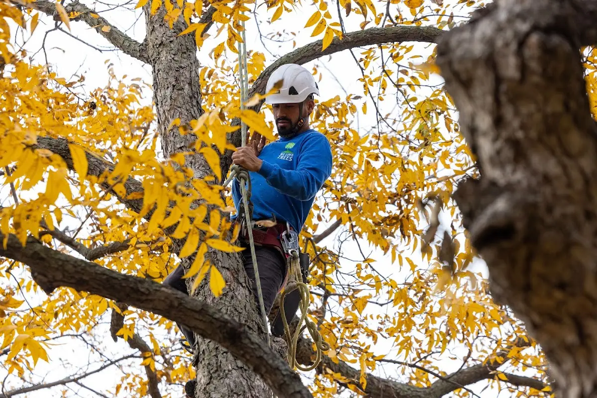 Skilled Storm Damage Cleanup crew working in Clara City